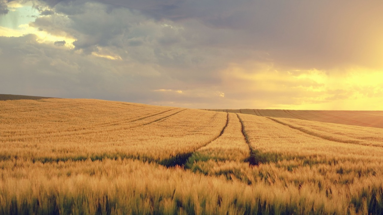 Фото Pixabay.com