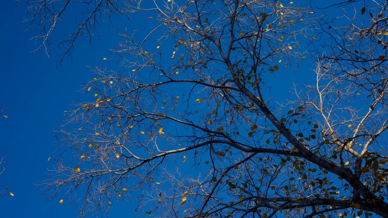 Фото Informburo.kz