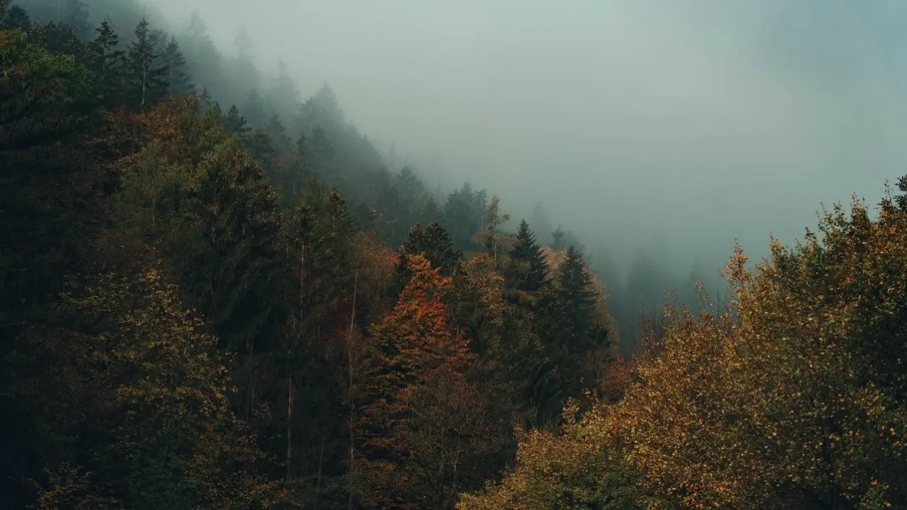 Фото Pixabay.com