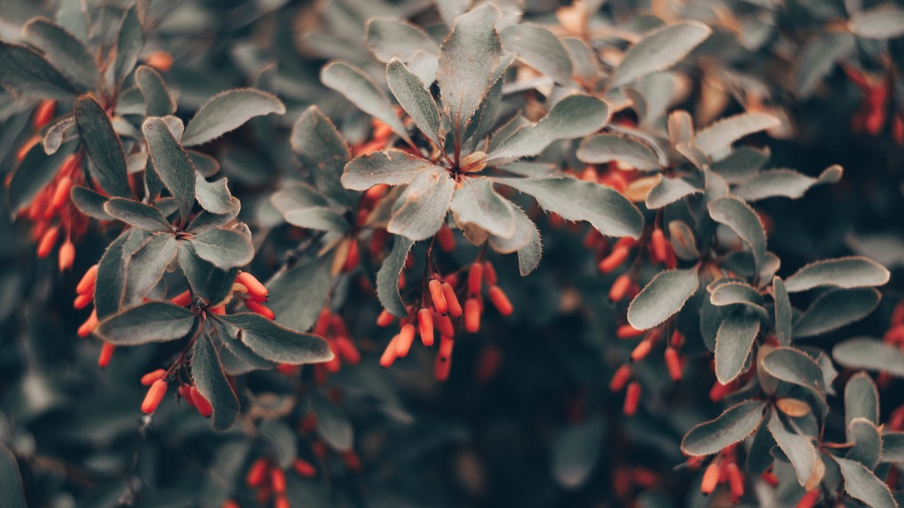 Фото Анастасия Палагутина / Informburo.kz