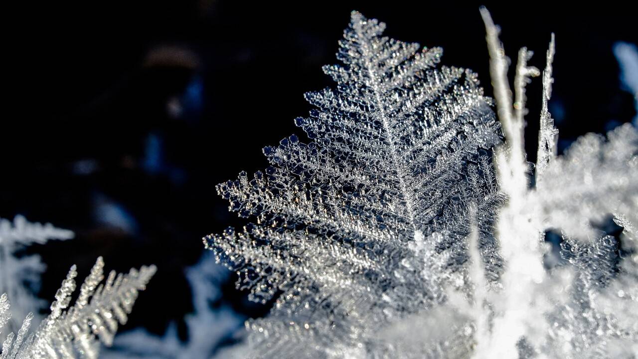 Изображение Сергей Шабанов с сайта Pixabay