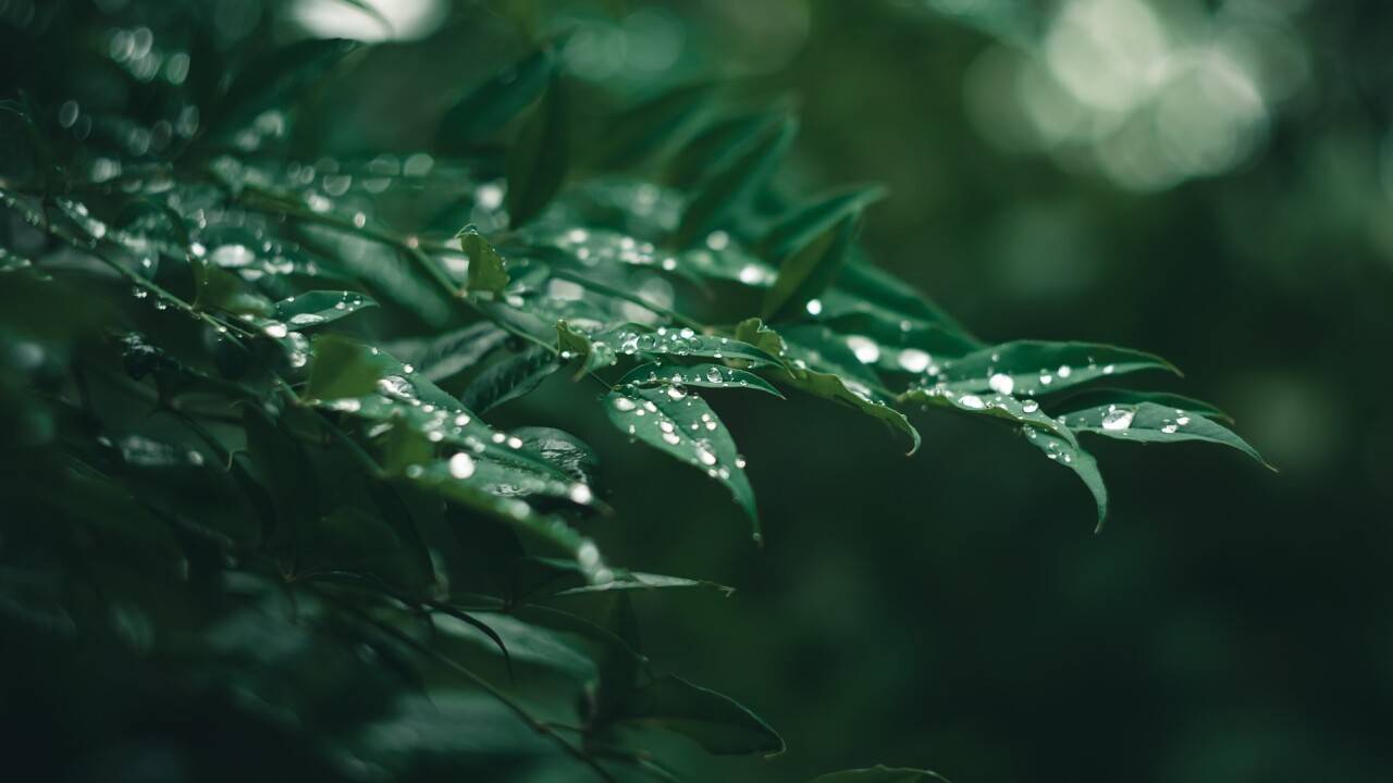 Изображение wenwenf_foto/Pixabay