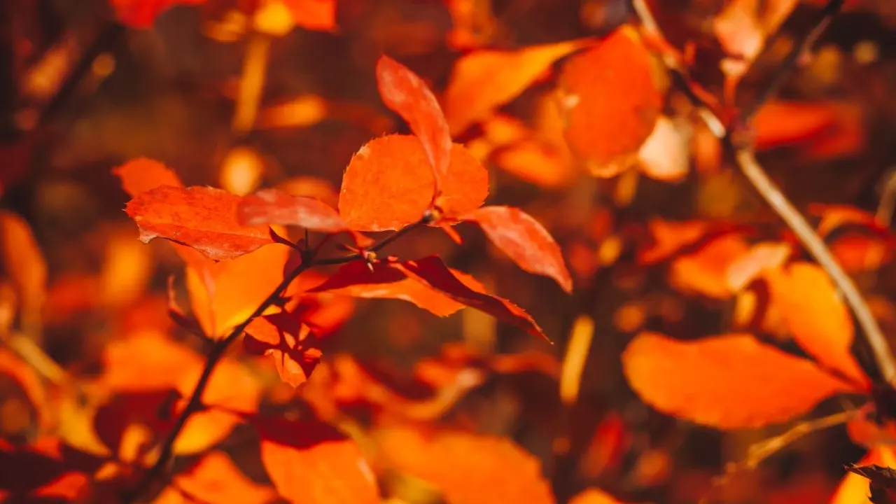 Фото Informburo.kz