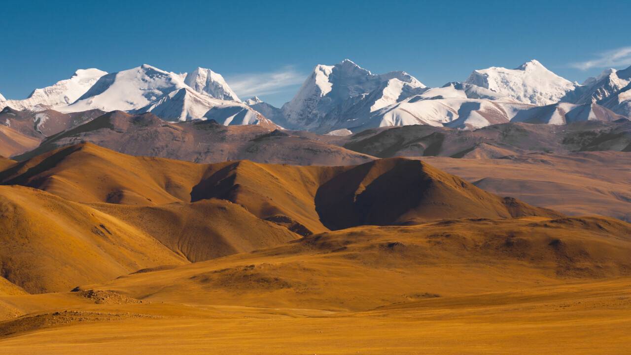 Фото Depositphotos.com