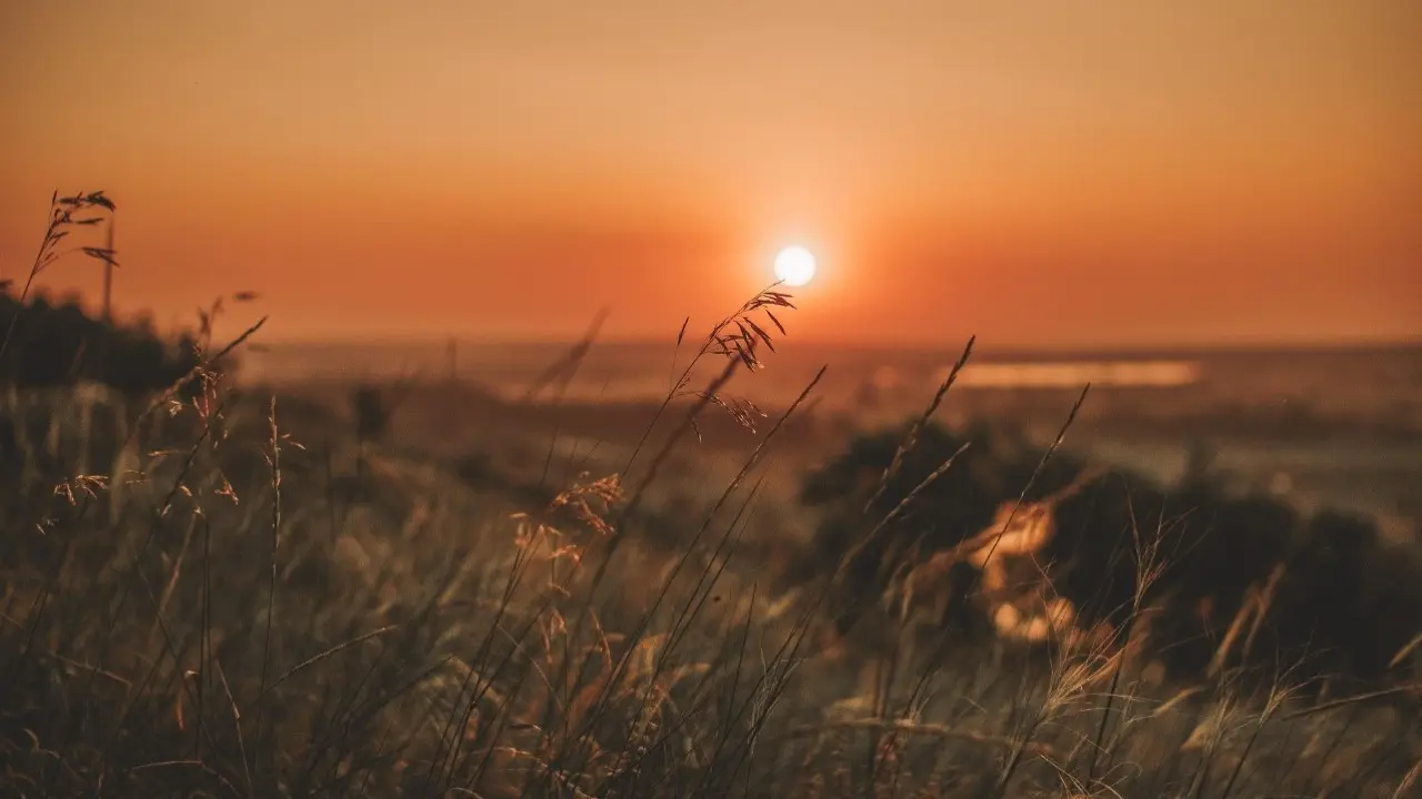 Фото Pixabay.com