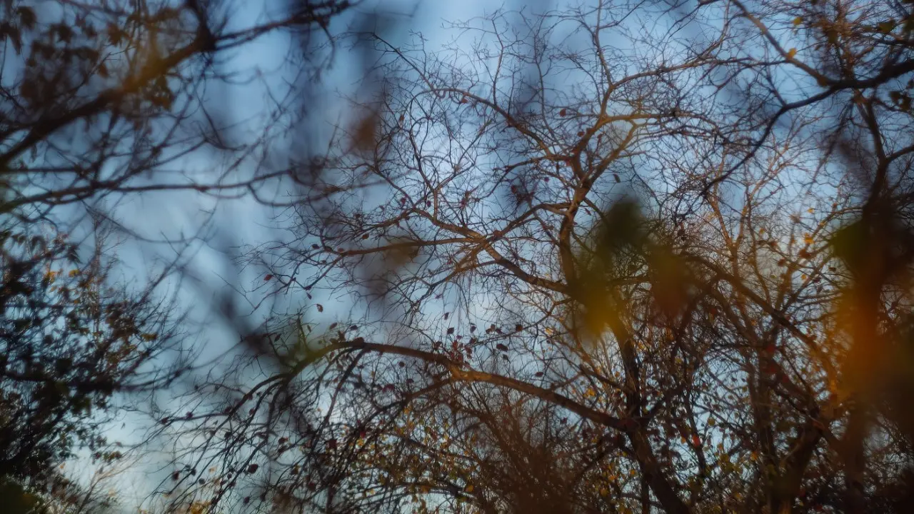 Фото Informburo.kz