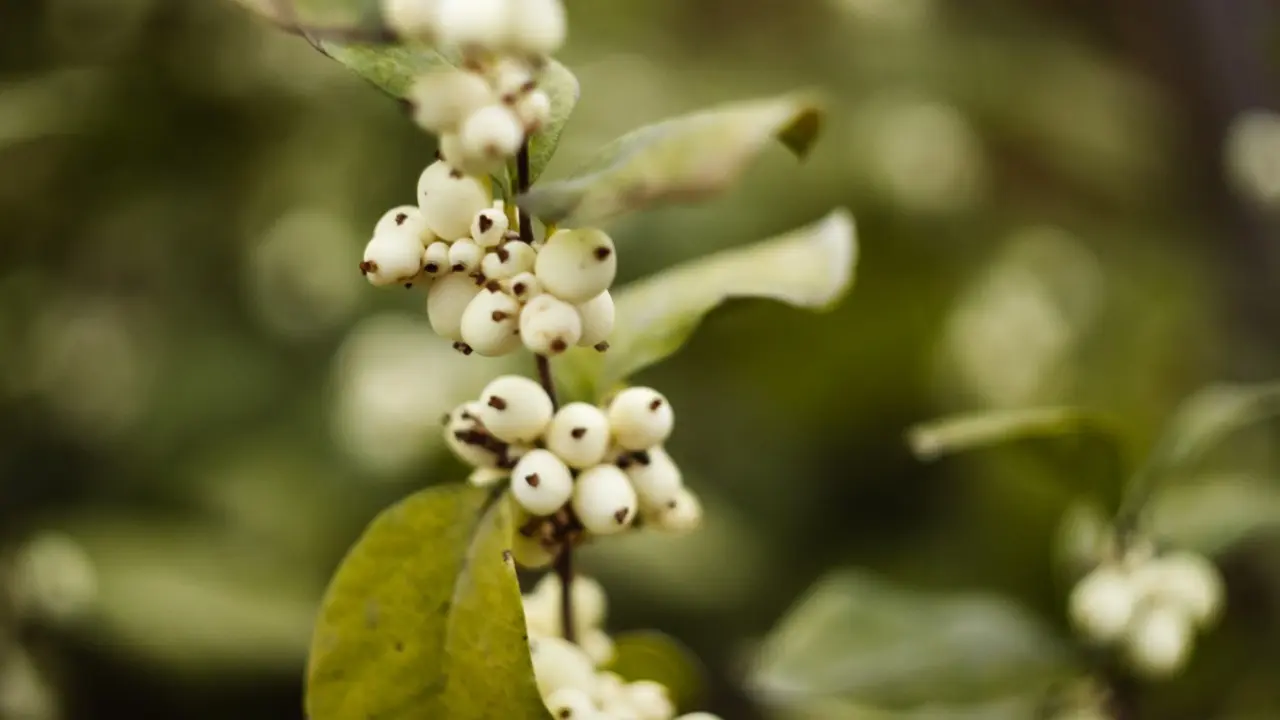 Фото Informburo.kz