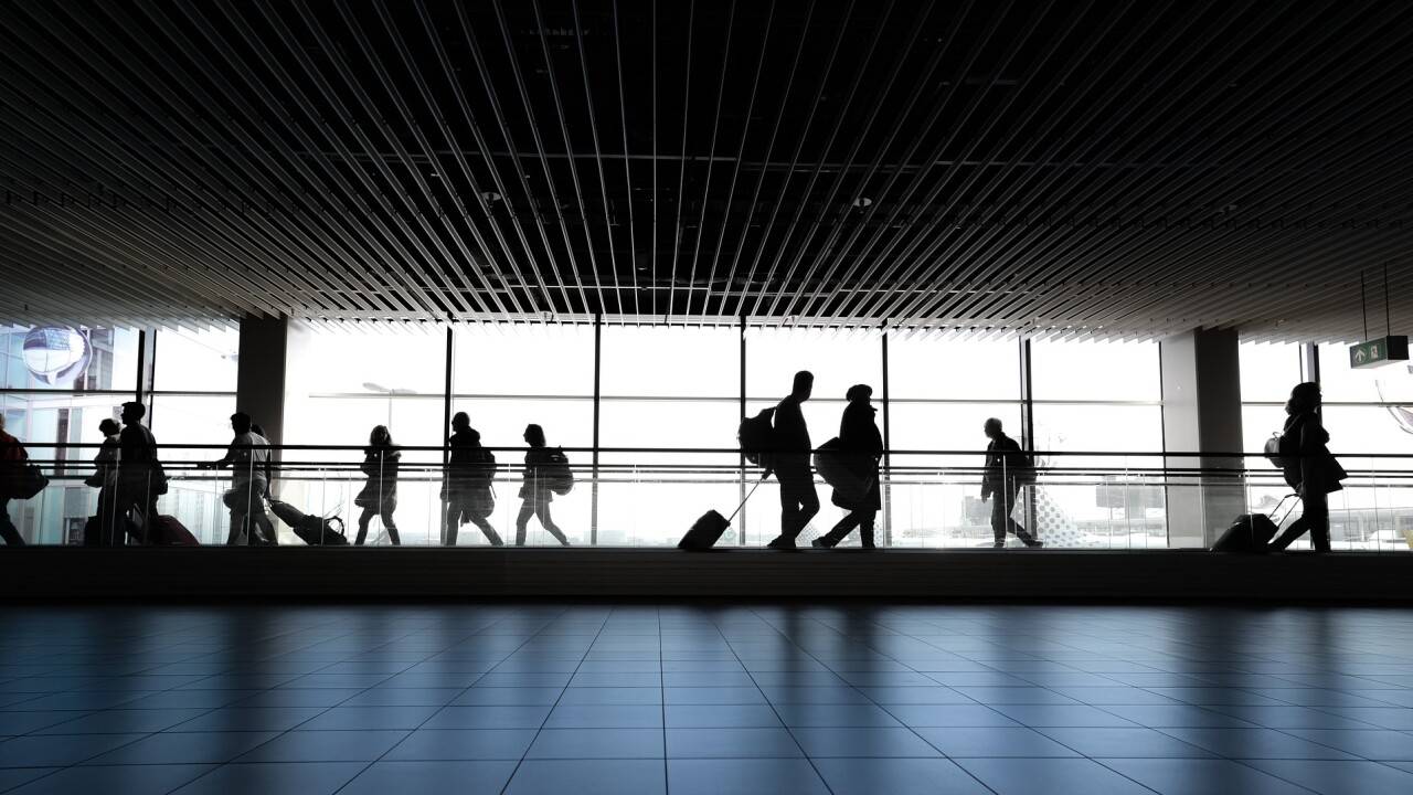 Иллюстративное фото Rudy and Peter Skitterians с сайта Pixabay