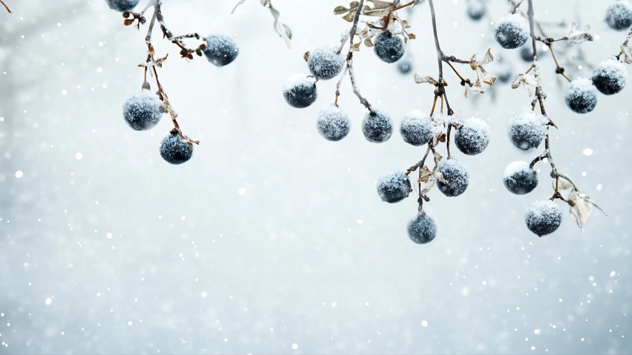 Фото Depositphotos.com