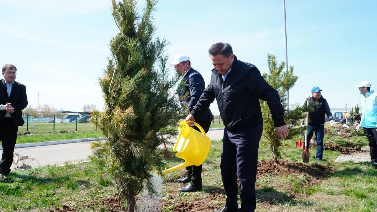 Фото пресс-службы акимата Акмолинской области