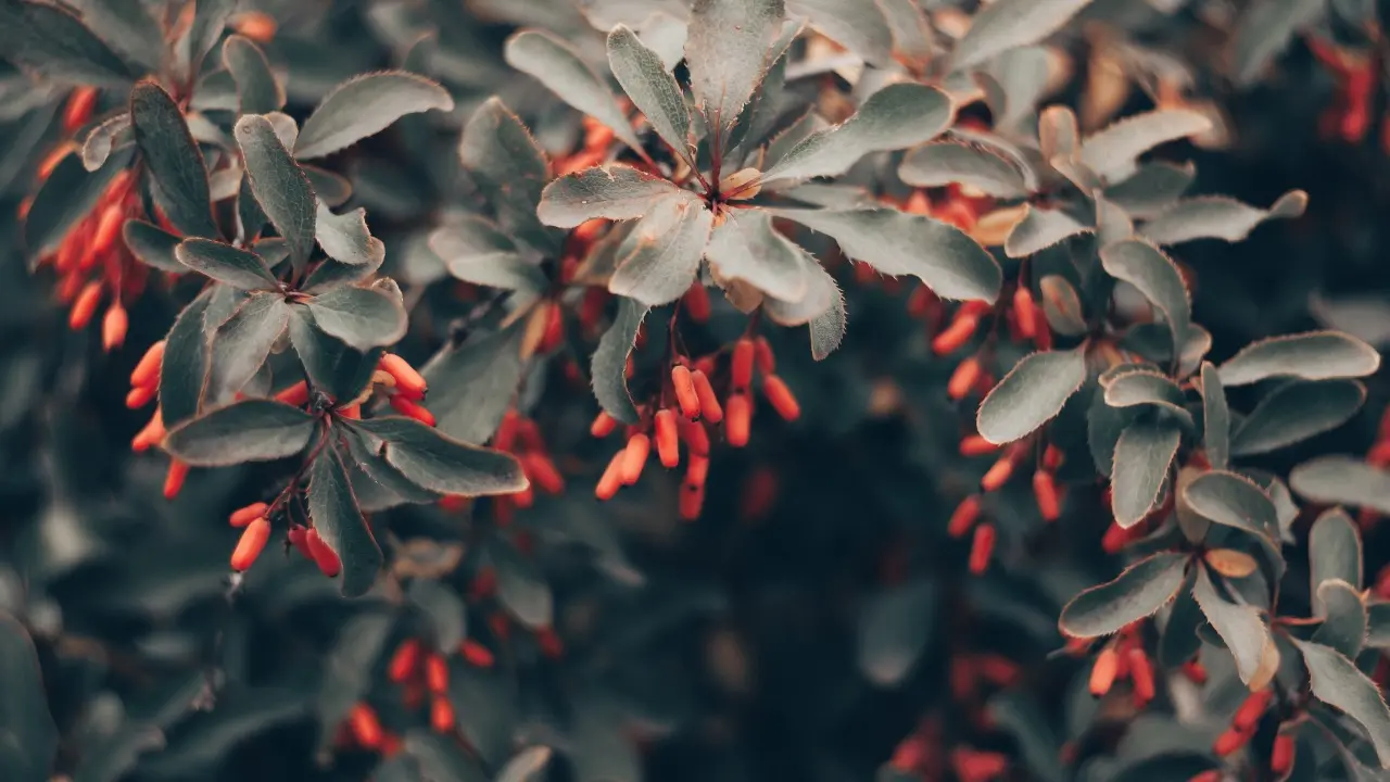 Фото Informburo.kz