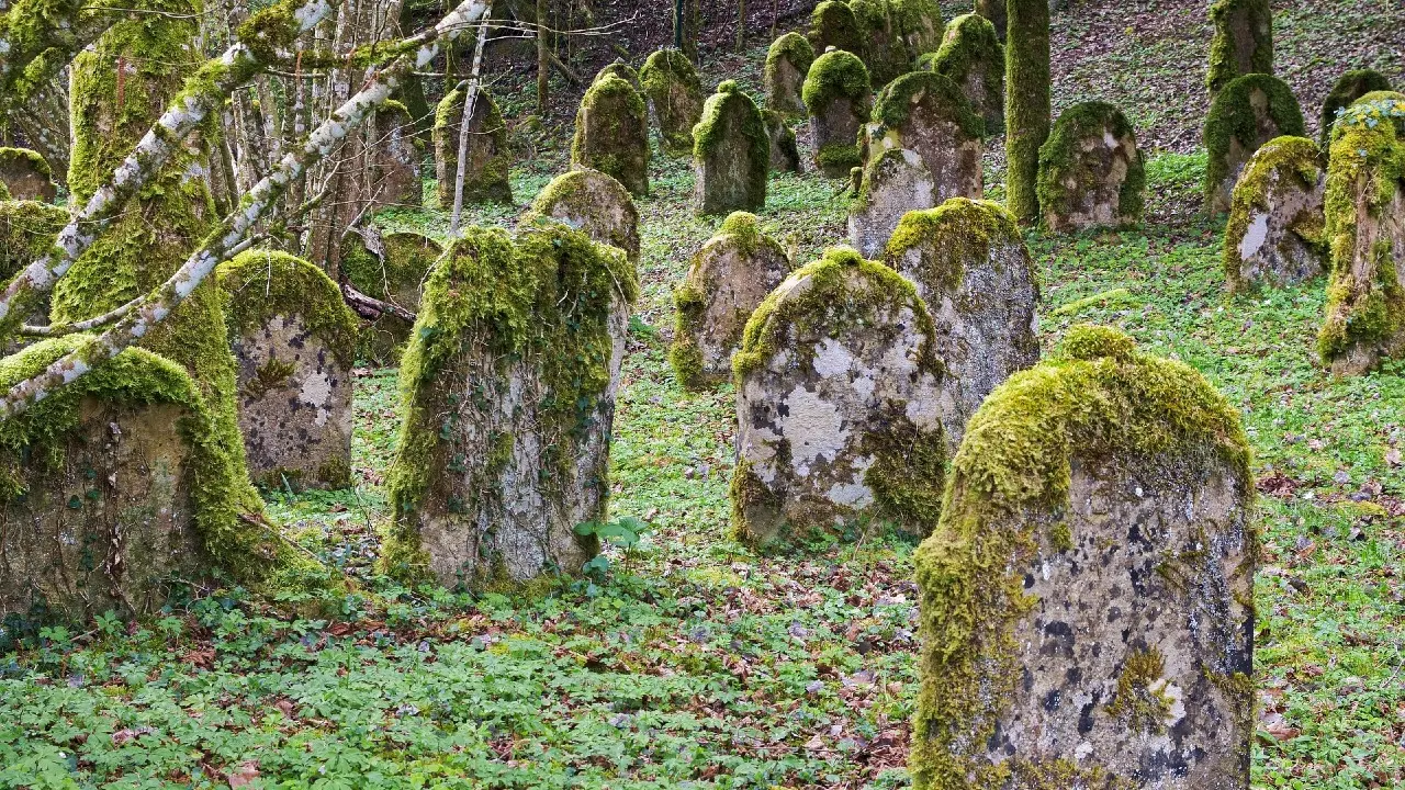 На одном из кладбищ в Германии перестали разлагаться тела: местные власти нашли причину