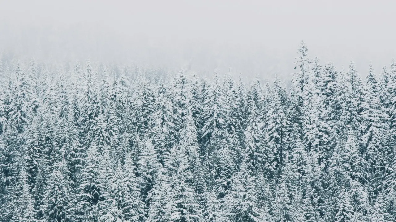 Прогноз погоды на 8 февраля: на севере и востоке Казахстана ожидаются морозы до -22 градусов