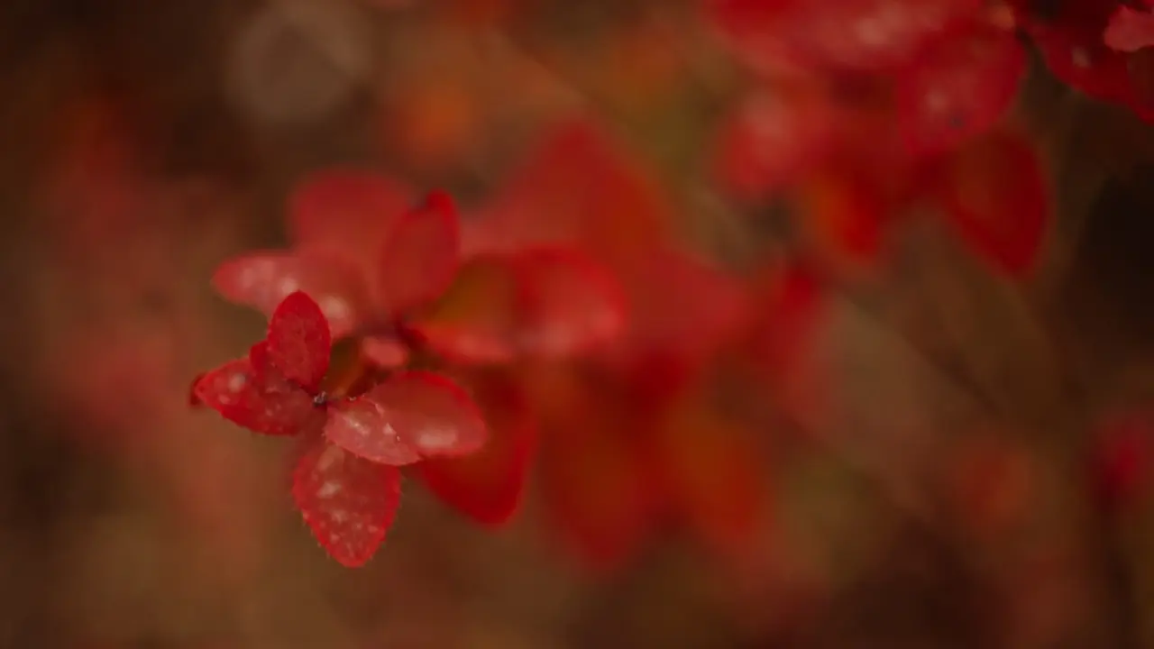 Фото Informburo.kz