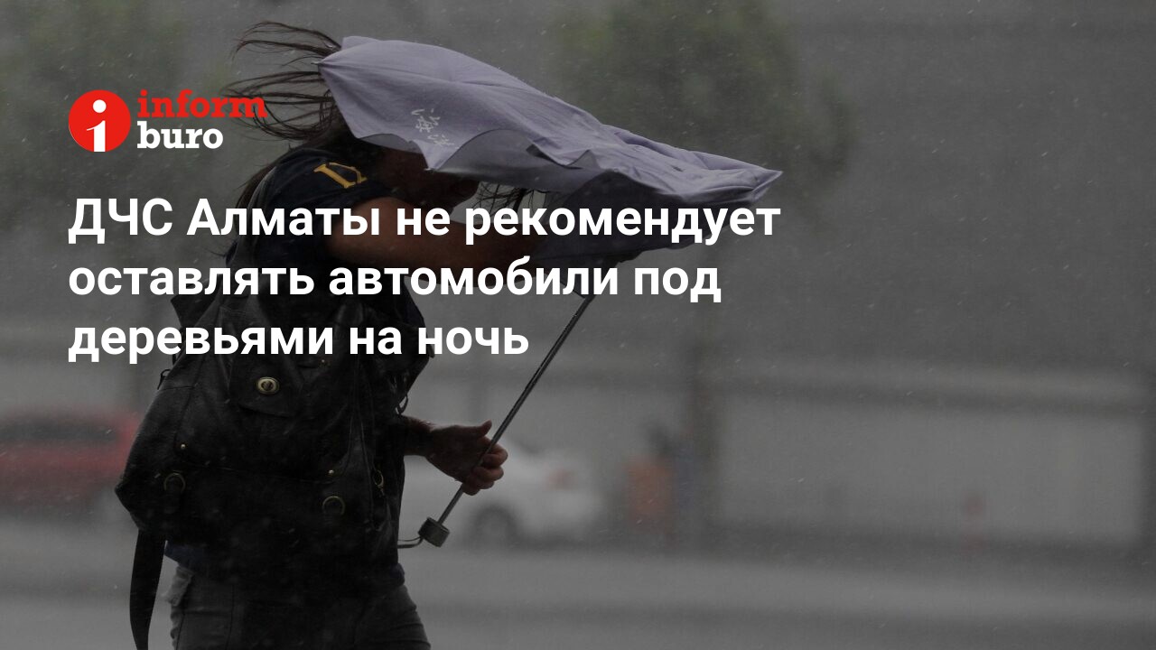 ДЧС Алматы не рекомендует оставлять автомобили под деревьями на ночь |  informburo.kz