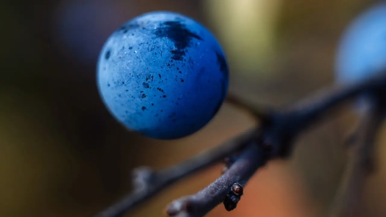 Фото Informburo.kz