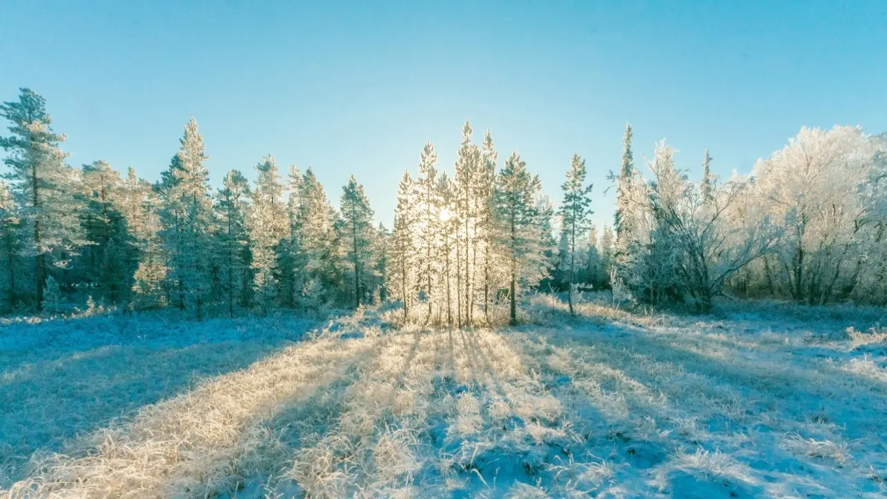 Фото Pixabay.com