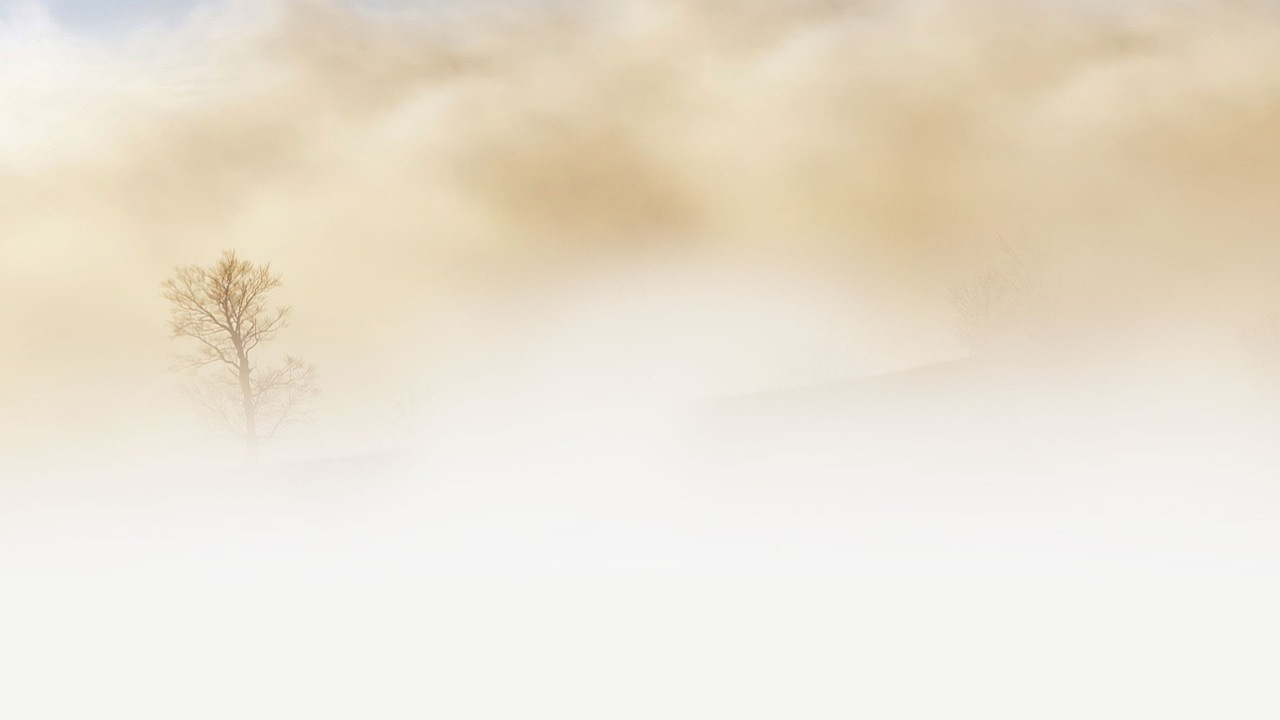 Фото Pixabay.com