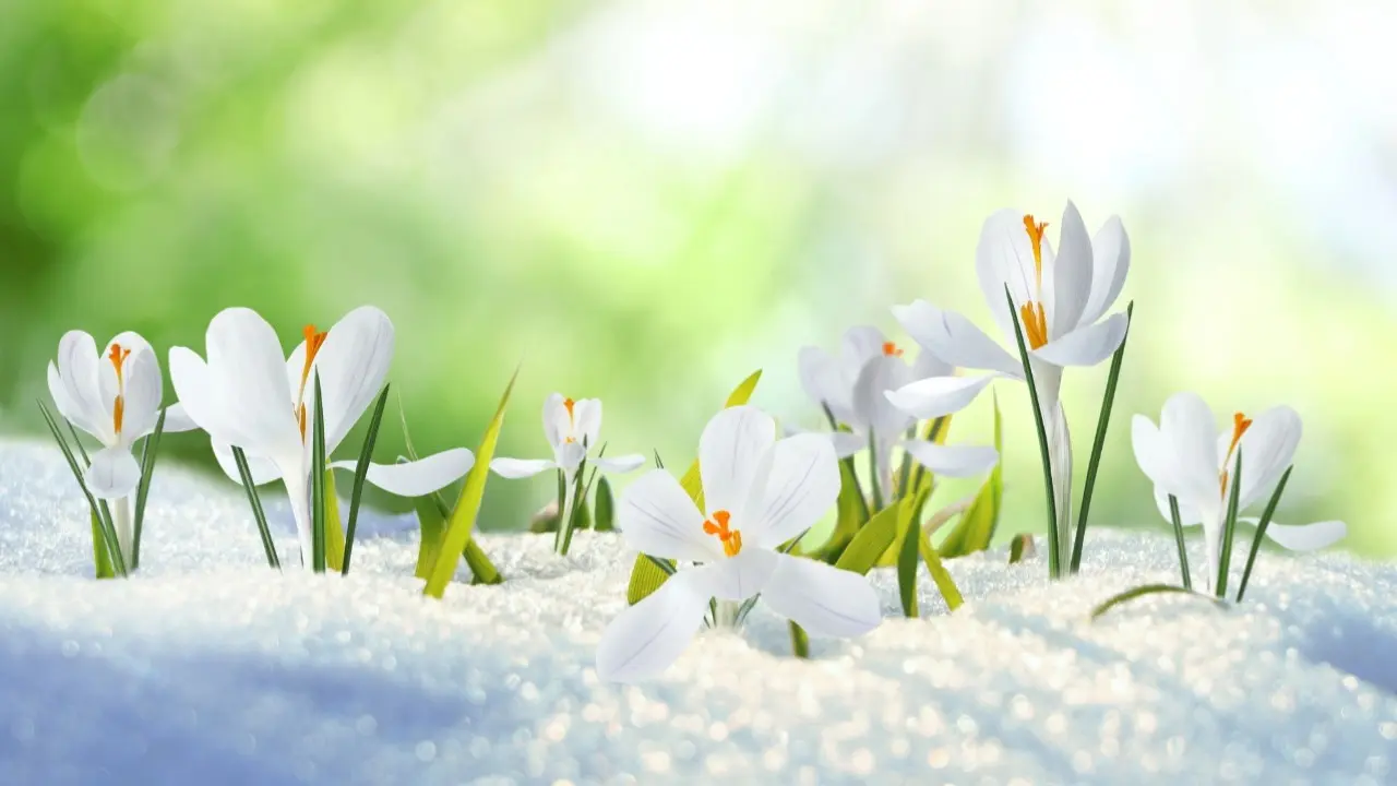 Фото Depositphotos