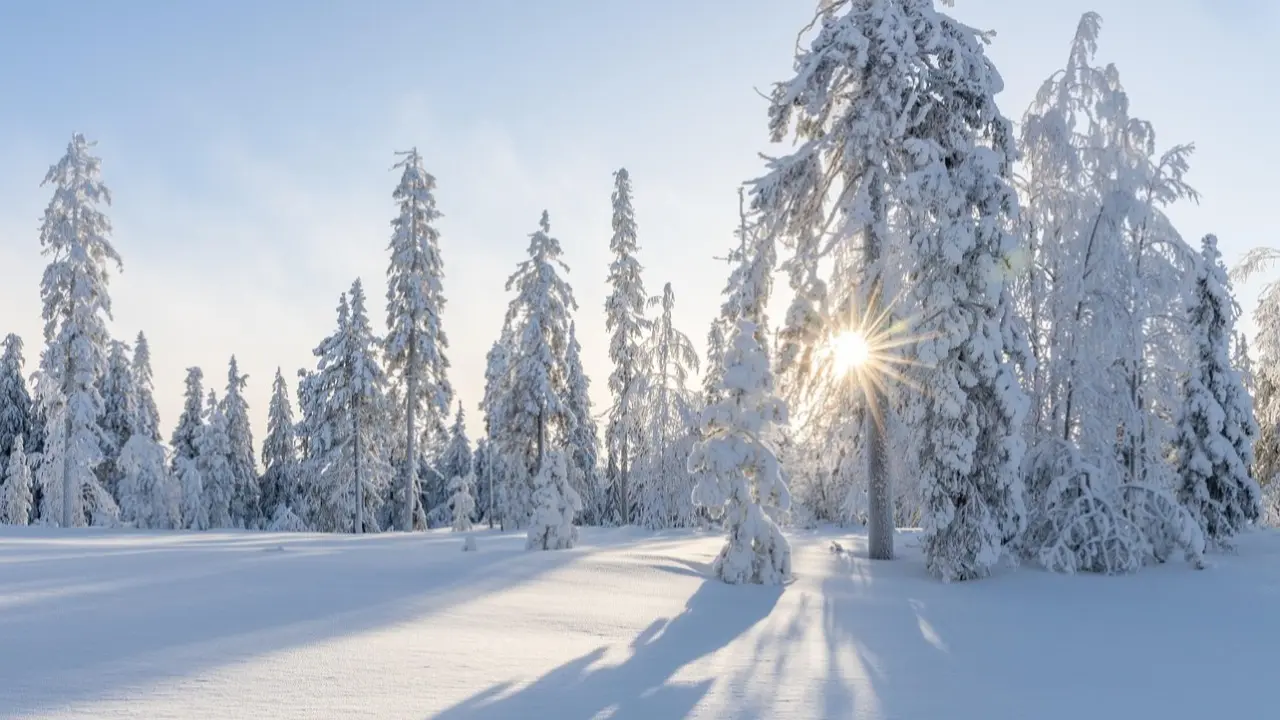 Фото Pixabay.com