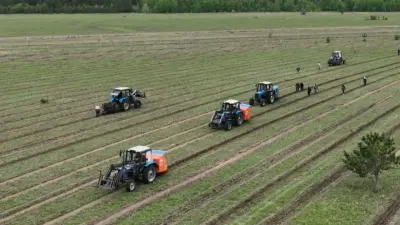 Зелёное будущее: в Костанайской области высадили свыше 14 миллионов сеянцев