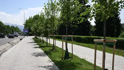 Более миллиона деревьев и 790 км автополива: в Алматы расширяют масштабную программу озеленения