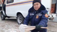 В Атырау сотрудники ДЧС спасли краснокнижного пеликана