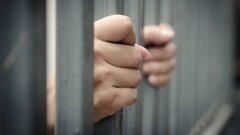 Гульмиру Сатыбалды арестовали на два месяца