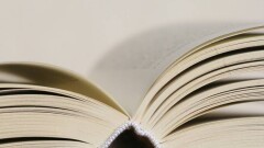 В Казахстане ужесточат наказание за вырубку деревьев: нарушения перейдут в разряд уголовных преступлений