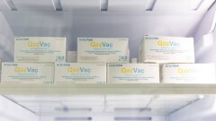 Об альтернативном способе регистрации вакцины QazVac в ВОЗ рассказали в Минздраве