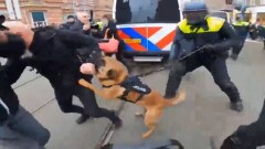 В Амстердаме прошёл митинг противников коронавирусных ограничений
