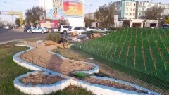 Аким Актау о пластиковых тюльпанах: Изначально мне показали другой эскиз