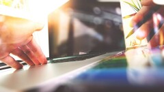 Издание Hola News возобновляет работу