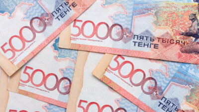 В Минтруда назвали фейком сообщения о выплате соцпособия в 50 тысяч тенге