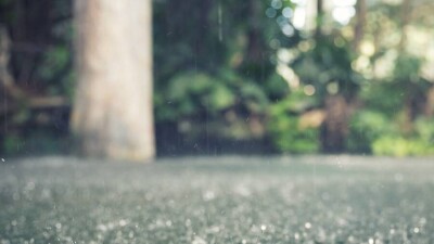 Прогноз погоды на 25 апреля: лишь на западе, севере и юго-западе Казахстана будет без осадков