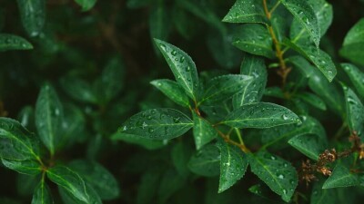 Прогноз погоды на 16 мая: без осадков будет лишь на юге и в центре Казахстана