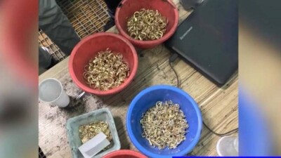 Спецоперация МВД: задержаны 32 человека, которые занимались кражей золота с рудников в Акмолинской области