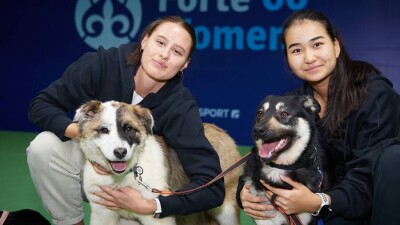 Выступающие на ITF Forte 60 Women’s теннисистки провели фотосессию с бездомными животными