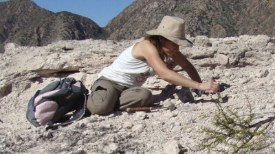 В Аргентине обнаружили новый вид древних рептилий