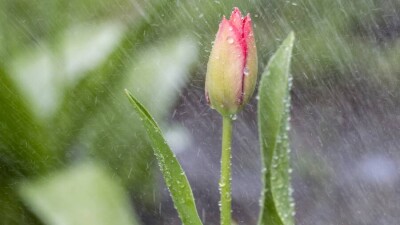 Казгидромет прогнозирует дожди в ближайшие три дня в Казахстане