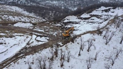 В Алматы владелец участка на Бутаковке незаконно вырубил деревья