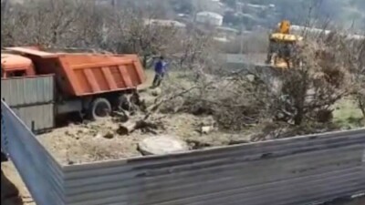 21 яблоню вырубили в саду Медеуского района Алматы
