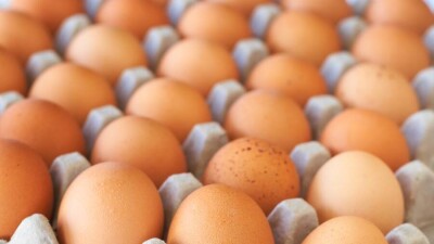 Три птицефабрики заподозрили в необоснованном повышении цен на яйца