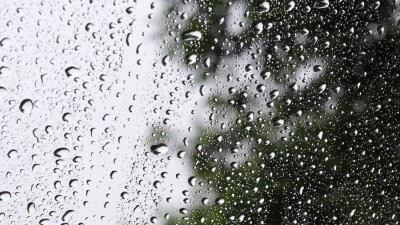 Прогноз погоды на 14 марта: на большей части территории страны пройдут осадки