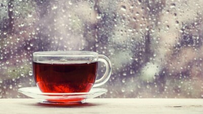 Прогноз погоды на 28 февраля: дождь со снегом ожидаются на севере, западе и юге