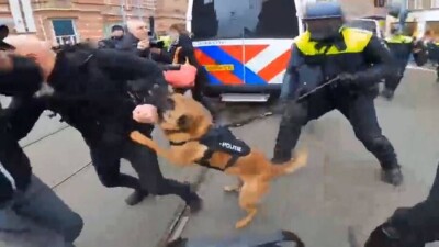 В Амстердаме прошёл митинг противников коронавирусных ограничений