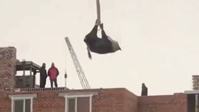 В Нур-Султане корову для жертвоприношения подняли на крышу на кране. Строители извинились перед жителями