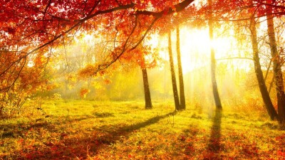 Прогноз погоды на 13 сентября: на большей части территории страны преимущественно без осадков