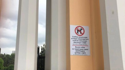 Глава профильного управления акимата о запрете выгула собак в парке Горького: Решение абсолютно объективное