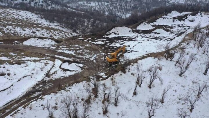 В Алматы владелец участка на Бутаковке незаконно вырубил деревья